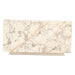 Giza 32" Drum Coffee Table in Alabaster Marble - World Interiors