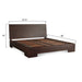 Acadia Modern Platform Bed in Coffee Bean - World Interiors