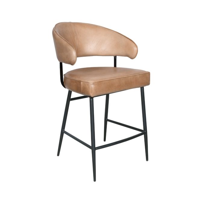 Brisben Modern Buffalo Leather Counter Chair - World Interiors